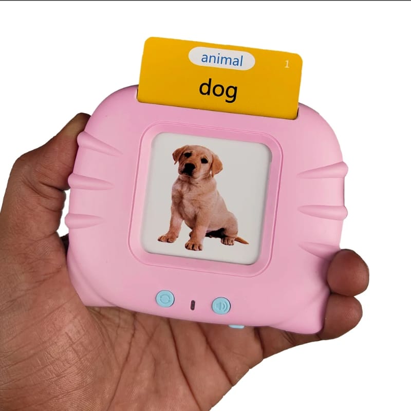 Talking Flash Cards Educational Toy