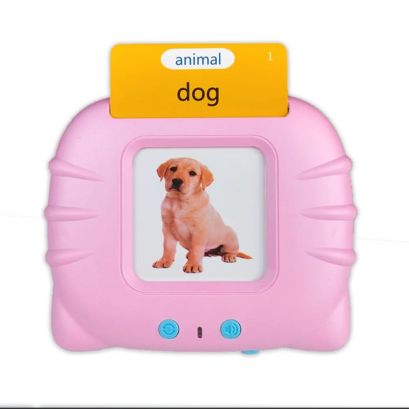 Talking Flash Cards Educational Toy