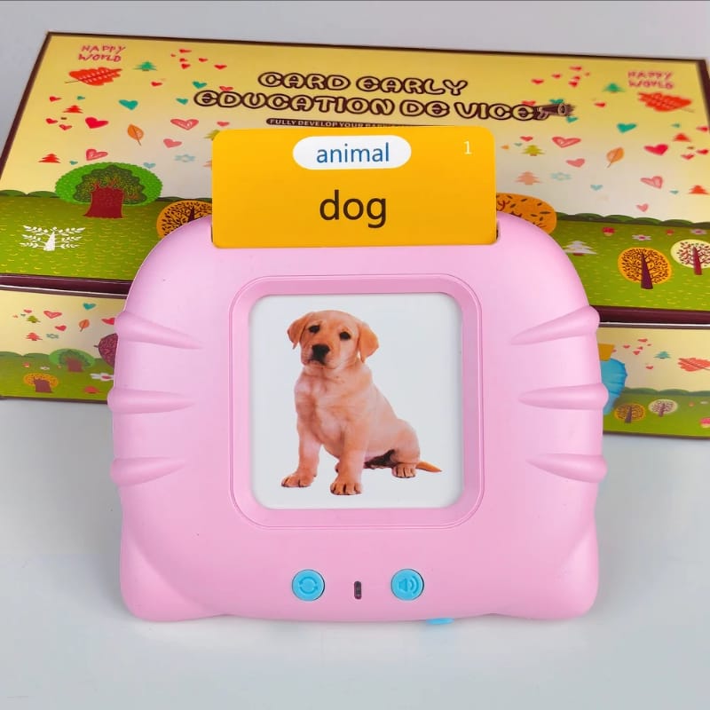 Talking Flash Cards Educational Toy